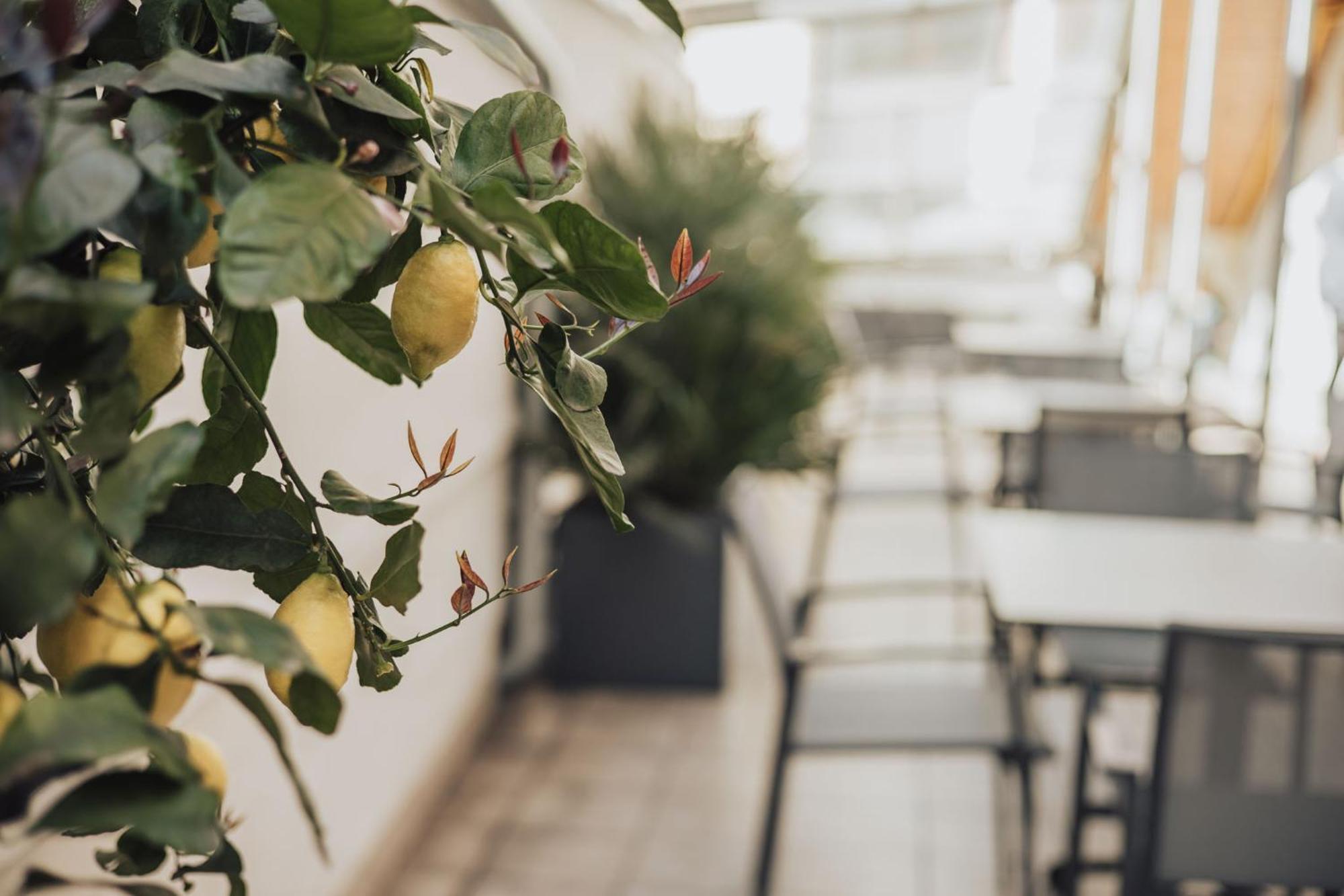 Feichter Hotel & Bistro Bolzano Luaran gambar
